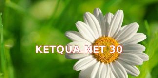 Ketqua.net 30: Cập Nhật Kết Quả Xổ Số Miền Bắc Nhanh Chóng và Chính Xác Nhất