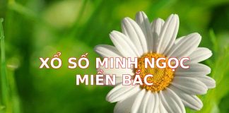 Xổ Số Minh Ngọc Miền Bắc: Hướng Dẫn Chi Tiết Và Bí Kíp Chơi Hiệu Quả