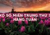 Xổ Số Miền Trung Thứ 3 Hàng Tuần: Cơ Hội Vàng Để Đổi Đời