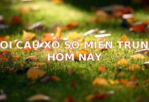 Soi Cầu Xổ Số Miền Trung Hôm Nay: Dự Đoán Chính Xác Nhất Từ Chuyên Gia