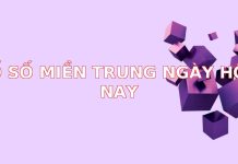 Xổ Số Miền Trung Ngày Hôm Nay: Cập Nhật Nhanh Chóng & Phân Tích Chi Tiết