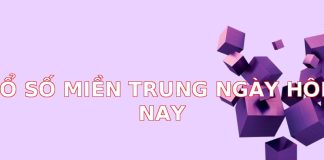 Xổ Số Miền Trung Ngày Hôm Nay: Cập Nhật Nhanh Chóng & Phân Tích Chi Tiết
